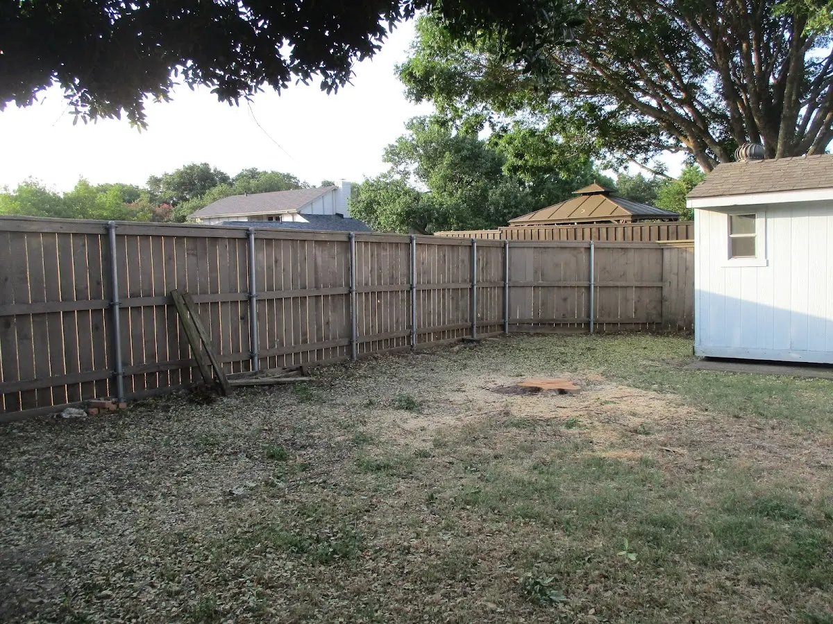 Cleared yard after professional tree removal in Covelo